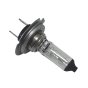 Halogen Bulb 12v H7 Cap PX26d for Vehicle Headlights (Each)
