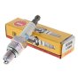 NGK LR8B Spark Plug for KTM 50 SX 50 Motorcycles - LR8B