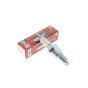 N9YC Champion Spark Plug fits Honda & Robin Engines