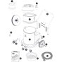 Numatic HZD900 Assembly