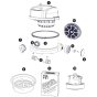 Numatic TRM240 Assembly