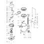 Numatic WV470 Vacuum Assembly