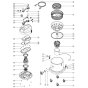 Assembly for Numatic WV570