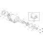 Vibrator Assembly for Belle PCX 13/40E+