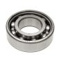Worm Shaft Bearing (1989 - Oct 2004) for Belle Minimix 150