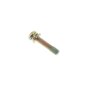 Screw Ay for Robin PTG109 Pump