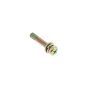 Screw Ay for Robin PTG109 Pump