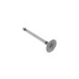 Intake Valve - Robin Part - RB226 33401 03