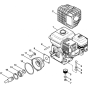Engine & Drive Shaft for Stihl RB 300 K