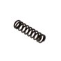 Spring for Robin EC04 Engine - OEM No. 630-25010-00