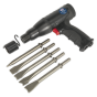 Air Hammer Kit Composite Premier - Long Stroke Sealey Part No. SA614