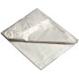 Polythene Dust Sheet 3.6 x 2.7m by Stanley - STASGPTQ