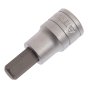 Hex Socket Bits