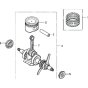 Crankshaft & Piston Assembly