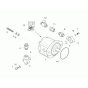 Gear Pump Assembly
