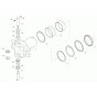 Articulated Joint Assembly