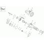 Axle Case & Wheel Hub Assembly