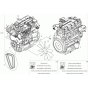 Engine Assembly for Neuson 6001