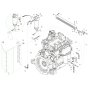 Fuel Filter Assembly