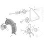 Belt, Fan Assembly for Wacker LTT4