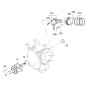 Crankshaft & Piston Assembly