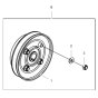 Clutch Assembly for Wacker WP1540Ww