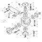 Steering Articulation Assembly