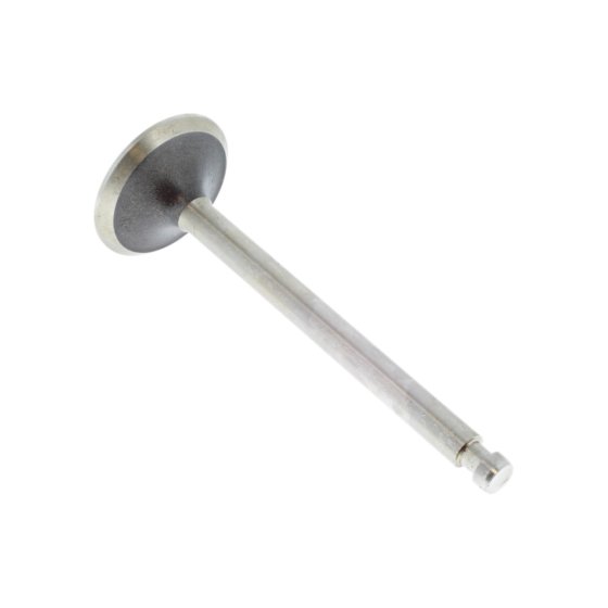 Exhaust Valve For A Mag 1040 SRL Engine - 0243 049