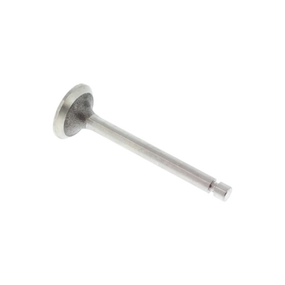 Inlet Valve For A Mag 1014 SRL Engine - 0243 130