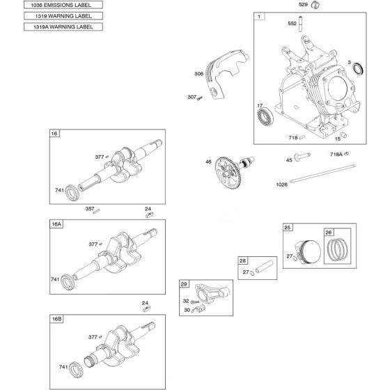 Camshaft & Crankshaft Assembly