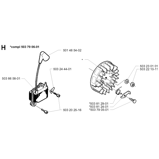 Ignition System for Husqvarna 235P