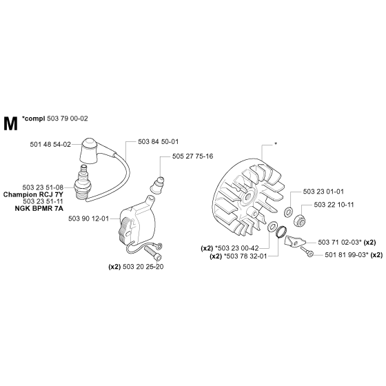 Ignition System for Husqvarna 240F