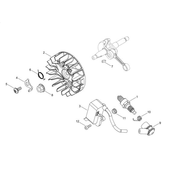 Magneto for Shindaiwa 251TS