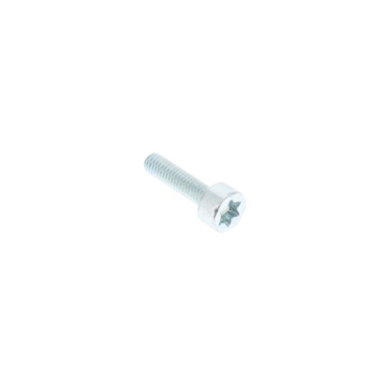 Screw Torx M4 x 16mm for Stihl MS200 Chainsaw - OEM No. 9022 313 0680