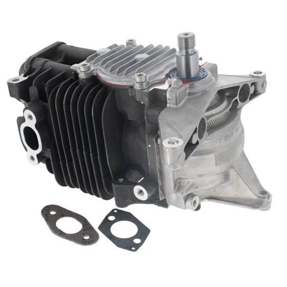 Engine for Stihl BR500, BR550, BR600 Backpack Leaf Blower - OEM No. 4282 020 0203