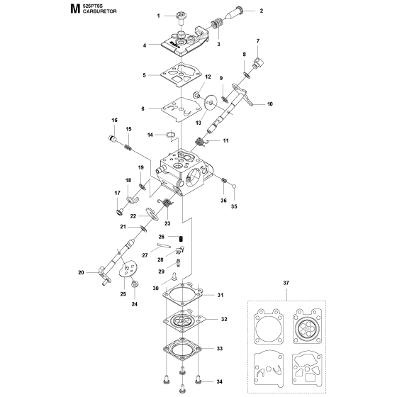 Carburetor Assembly for 525PT5S