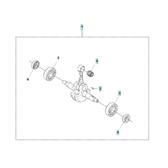 Crankshaft Assembly for 580BTS
