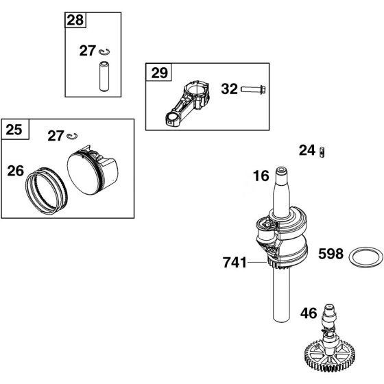Crankshaft & Piston Assembly