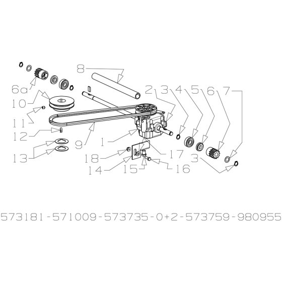 Gearbox Assembly for Masport 800ST