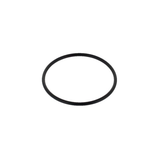 O-Ring for Interpump 50 Series W70, W71, W91 Pressure Washer Pump - OEM 90.3612.00