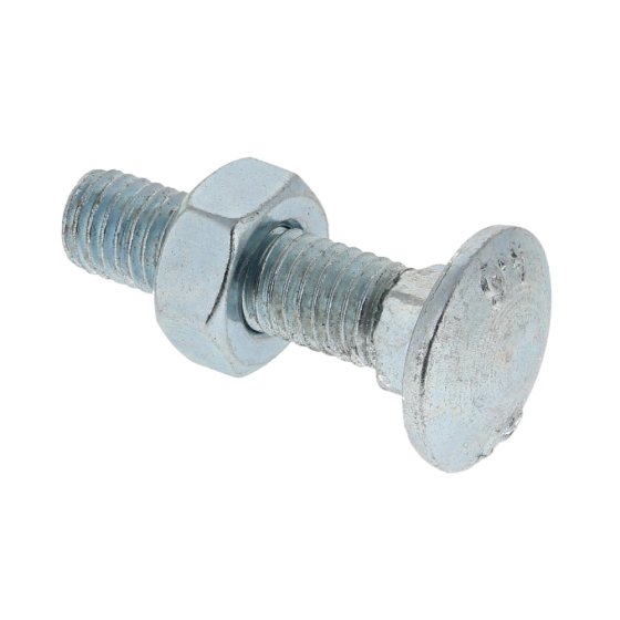 Coach Bolt & Nut M10 x 40mm Zinc Plated for Wall Fixing