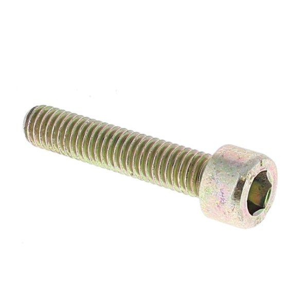 Socket Head Screw M6x30 for Stihl RE521 Hot Water Washer - 9045 319 1370