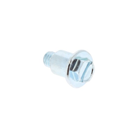 Screw for Kawasaki FX541V-CS06 4 Stroke Engines - 920092382