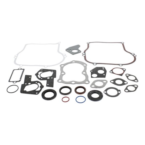 Gasket Set-Engine for Briggs & Stratton 100200, 100600 Engines - 495603