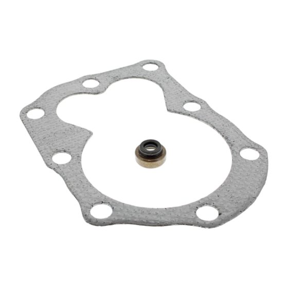 Gasket Set-Valve for Briggs & Stratton 09T502-0134-H1 450 Series Engine - 498526