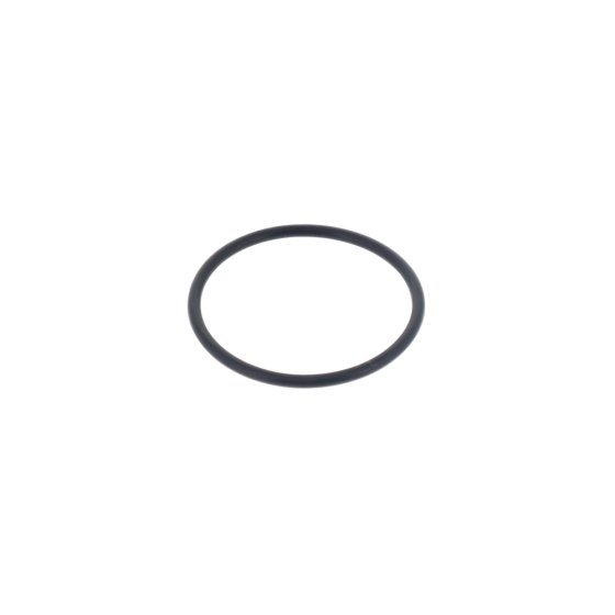 Seal-O Ring for Briggs & Stratton 31R907 Engines - OEM No. 697123