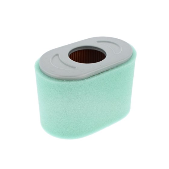 Air Cleaner Filter for Briggs & Stratton 19L232-0036-F1 10 HP Series Engine - OEM No. 797032