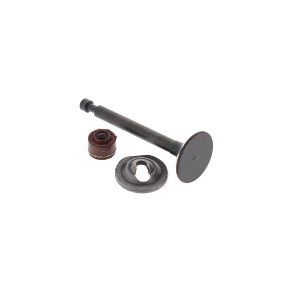 Valve-Intake - Briggs & Stratton - 797198