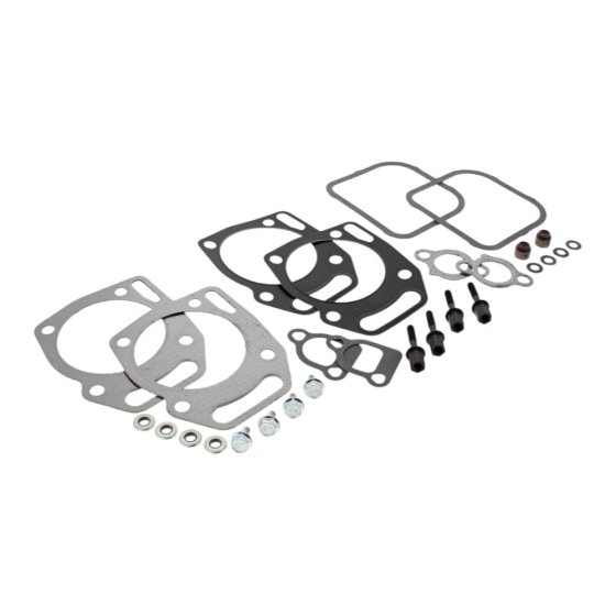 Gasket Set-Valve for Briggs & Stratton 1616H, 1618H Engines - 841191