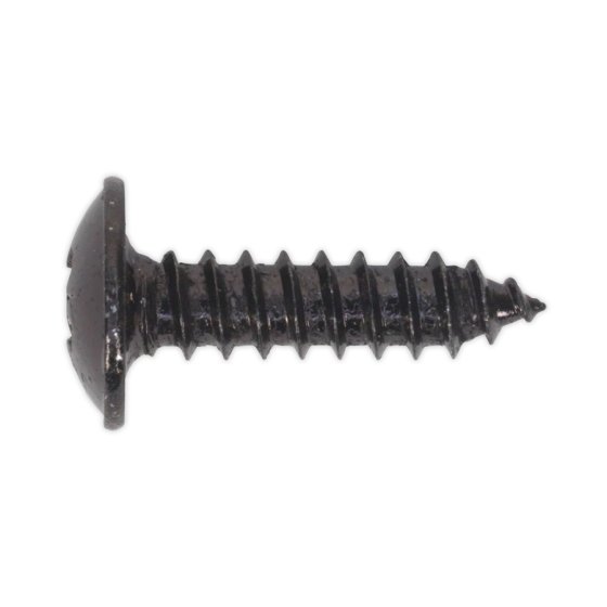 Self Tapping Screw 4.2x16mm Flanged Head Black Pozi BS 4174 - 100 Pack